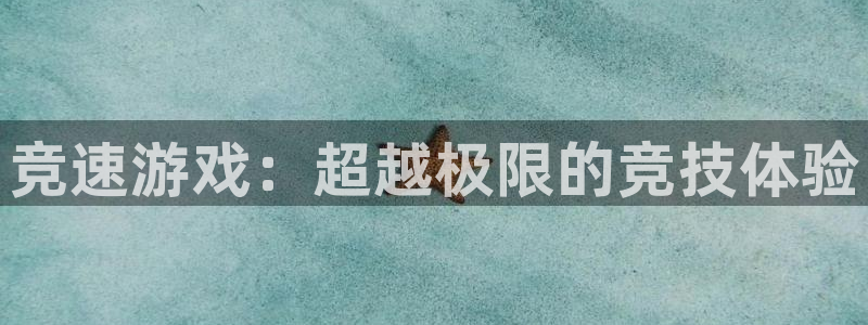 必发官网下载平台是正规平台吗:竞速游戏:超越极限的竞技体验